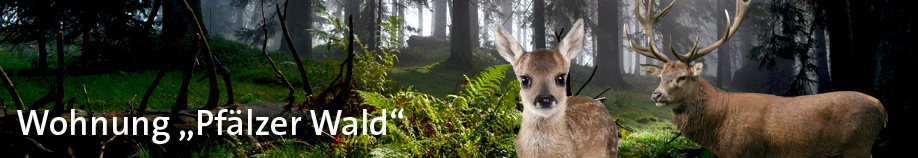 slider-pfaelzer-wald